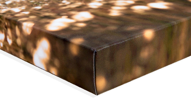 Close-up of the photo wrapped around the edge of a canvas print